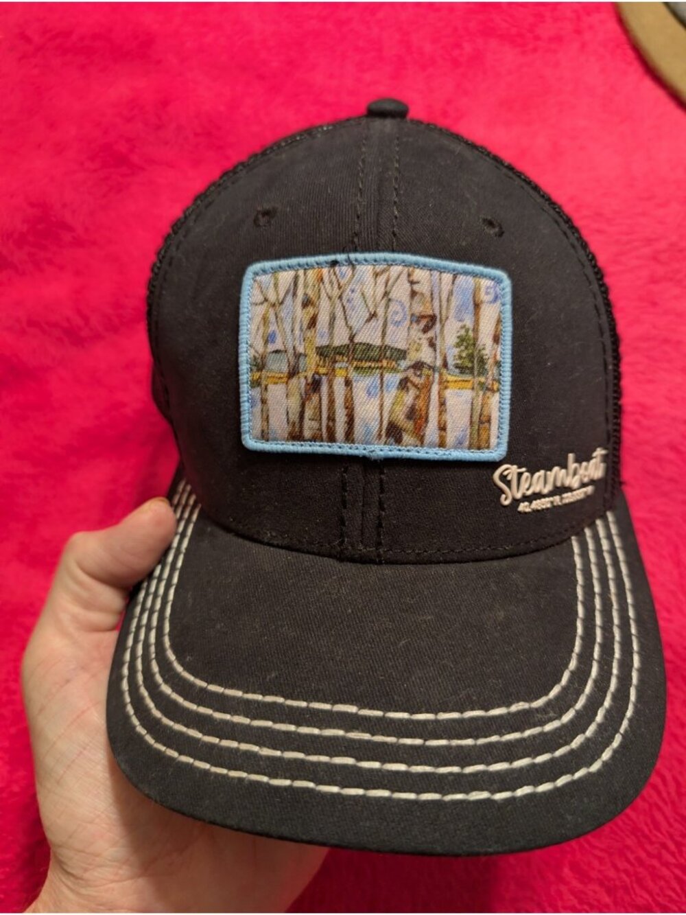 Steamboat Springs Colorado Trucker Hat Lance Whitner Aspen Art Patch Snapback